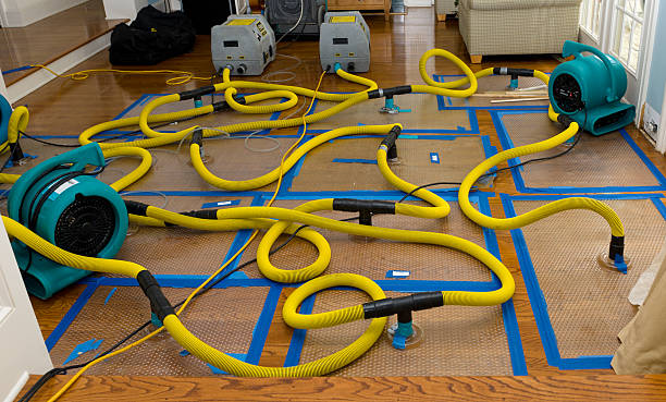 Professional Water Damage Restoration technician working in Mountain Home, AR